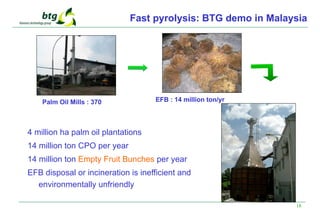 18
4 million ha palm oil plantations
14 million ton CPO per year
14 million ton Empty Fruit Bunches per year
EFB disposal or incineration is inefficient and
environmentally unfriendly
Palm Oil Mills : 370 EFB : 14 million ton/yr
Fast pyrolysis: BTG demo in Malaysia
 