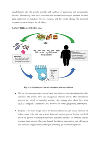 catecholamine alter the growth, motility and virulence of pathogenic and commensally
bacteria. Alternatively, host stress hormones such as noradrenalin might influence bacterial
gene expression or signaling between bacteria, and this might change the microbial
composition and activity of the microbiota.
3.4-NUTRITION METABOLISM
Fig: The influence of Gut microbiota on host metabolism
 The gut microbiota provides essential capacities for the fermentation of non-digestible
substrates like dietary fibres and endogenous intestinal mucus. This fermentation
supports the growth of specialist microbes that produce short chain fatty acids
(SCFAs) and gases. The major SCFAs produced are acetate, propionate, and butyrate.
 Butyrate is the main energy source for human colonocytes, can induce apoptosis of
colon cancer cells, and can activate intestinal gluconeogenesis, having beneficial
effects on glucose and energy homeostasis.Butyrate is essential for epithelial cells to
consume large amounts of oxygen through β oxidation, generating a state of hypoxia
that maintains oxygen balance in the gut, preventing gut microbiota dysbiosis.
 
