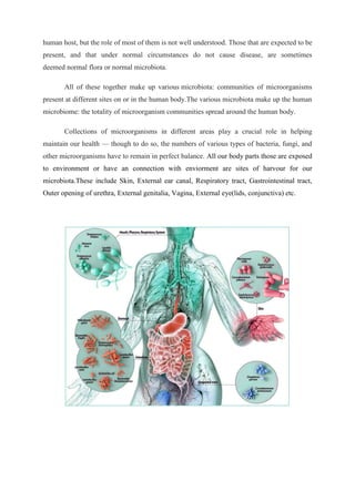 human host, but the role of most of them is not well understood. Those that are expected to be
present, and that under normal circumstances do not cause disease, are sometimes
deemed normal flora or normal microbiota.
All of these together make up various microbiota: communities of microorganisms
present at different sites on or in the human body.The various microbiota make up the human
microbiome: the totality of microorganism communities spread around the human body.
Collections of microorganisms in different areas play a crucial role in helping
maintain our health — though to do so, the numbers of various types of bacteria, fungi, and
other microorganisms have to remain in perfect balance. All our body parts those are exposed
to environment or have an connection with enviorment are sites of harvour for our
microbiota.These include Skin, External ear canal, Respiratory tract, Gastrointestinal tract,
Outer opening of urethra, External genitalia, Vagina, External eye(lids, conjunctiva) etc.
 