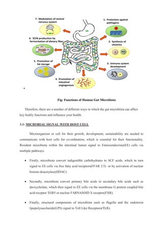 
Fig: Functions of Human Gut Microbiota
Therefore, there are a number of different ways in which the gut microbiota can affect
key bodily functions and influence your health.
3.1- MICROBIAL SIGNAL WITH HOST CELL
Microorganism or cell for their growth, development, sustainability are needed to
communicate with host cells for co-ordination, which is essential for their functionality.
Resident microbiota within the intestinal lumen signal to Enteroendocrine(EE) cells via
multiple pathways.
 Firstly, microbiota convert indigestible carbohydrates to SCF acids, which in turn
signal to EE cells via free fatty acid receptors(FFAR 2/3) or by activation of nuclear
histone deacetylase(HDAC).
 Secondly, microbiota convert primary bile acids to secondary bile acids such as
deoxycholate, which then signal to EE cells via the membrane G protein coupled bile
acid receptor TGR5 or nuclear FARNASOID X receptor(FXR).
 Finally, structural components of microbiota such as flagella and the endotoxin
lipopolysaccharide(LPS) signal to Toll Like Receptors(TLR).
 