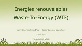 Energies renouvelables
Waste-To-Energy (WTE)
Yann Delamadeleine, MSc – Senior Business Consultant
8 juin 2016
20160608-001 V1.00
 