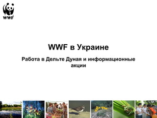 WWF в Украине
Работа в Дельте Дуная и информационные
акции
 