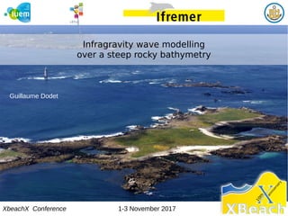XbeachX Conference 1-3 November 2017
Infragravity wave modelling
over a steep rocky bathymetry
Guillaume Dodet
 
