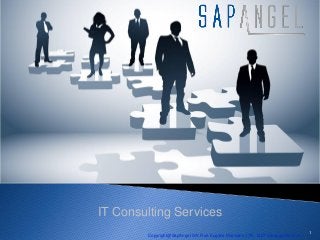 IT Consulting Services
                                                                              1
        Copyright@SapAngel SA/ Rue Eugène Marziano 17A/ 1227 Carouge/Genève
 