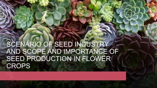 SCENARIO OF SEED INDUSTRY
AND SCOPE AND IMPORTANCE OF
SEED PRODUCTION IN FLOWER
CROPS
SUBMITTED TO submitted by
DR. ANJANA SISODIA yatharth vijayvergia
msc. Horticulture
floriculture & landscaping
 