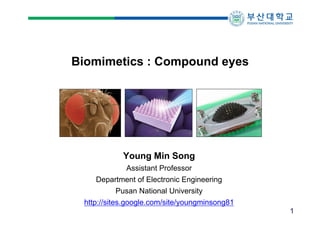 Biomimetics : Compound eyes

Young Min Song
Assistant Professor
Department of Electronic Engineering
Pusan National University
http://sites.google.com/site/youngminsong81
1

 