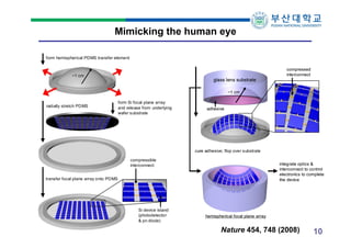 Mimicking the human eye
form hemispherical PDMS transfer element
compressed
interconnect

~1 cm

~1 cm
radially stretch PDMS

form Si focal plane array
and release from underlying
wafer substrate

adhesive

cure adhesive; flop over substrate
compressible
interconnect

integrate optics &
interconnect to control
electronics to complete
the device

transfer focal plane array onto PDMS

Si device island
(photodetector
& pn diode)

hemispherical focal plane array

Nature 454, 748 (2008)

10

 