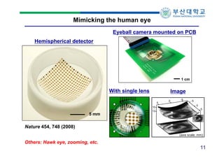 Mimicking the human eye
Eyeball camera mounted on PCB
Hemispherical detector

1 cm
1 cm

With single lens

Image
5

5 mm

10
12

0

5

5
0
5

Nature 454, 748 (2008)
(axis scale: mm)

Others: Hawk eye, zooming, etc.

11

 