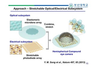 Approach – Stretchable Optical/Electrical Subsystem
Optical subsystem
Elastomeric
microlens array

Combine,
stretch

Electrical subsystem

Stretchable
photodiode array

Hemispherical Compound
eye camera
Y. M. Song et al., Nature 497, 95 (2013) 15

 