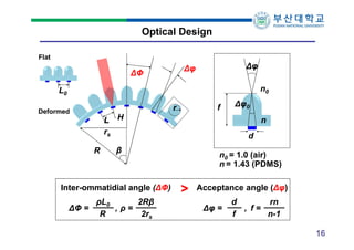 Optical Design
Flat

∆φ

∆φ

∆Φ

n0

L0
f

r

Deformed

L H
rs
R

n
d

β

Inter-ommatidial angle (∆Φ)
ρL0
2Rβ
∆Φ =
,ρ=
R
2rs

∆φ0

n0 = 1.0 (air)
n = 1.43 (PDMS)

>

Acceptance angle (∆φ)
∆φ =

d
rn
, f=
f
n-1
16

 
