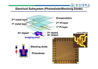 Electrical Subsystem (Photodiode/Blocking Diode)

2nd
1st

Encapsulation

metal layer

2nd PI layer

metal layer

1st PI layer
N+ doped
Imaging pixel

P+ doped
N+ doped

Blocking diode
Photodiode

200 μm

 