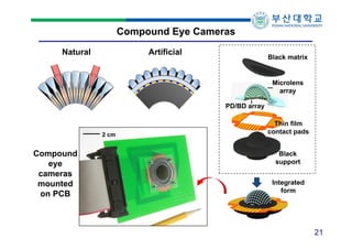 Compound Eye Cameras
Natural

Artificial

Black matrix

Microlens
array
PD/BD array

2 cm

Compound
eye
cameras
mounted
on PCB

Thin film
contact pads
Black
support
Integrated
form

21

 