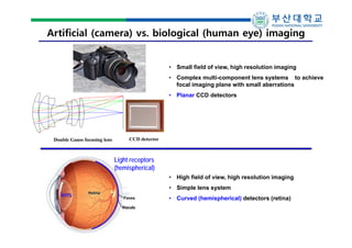 Artificial (camera) vs. biological (human eye) imaging
• Small field of view, high resolution imaging
• Complex multi-component lens systems to achieve
focal imaging plane with small aberrations
• Planar CCD detectors

Double Gauss focusing lens

CCD detector

Light receptors
(hemispherical)
• High field of view, high resolution imaging

lens

• Simple lens system
• Curved (hemispherical) detectors (retina)

 