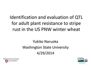 Identification and evaluation of QTL
for adult plant resistance to stripe
rust in the US PNW winter wheat
Yukiko Naruoka
Washington State University
4/29/2014
 