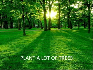 PLANT A LOT OF TREES
 