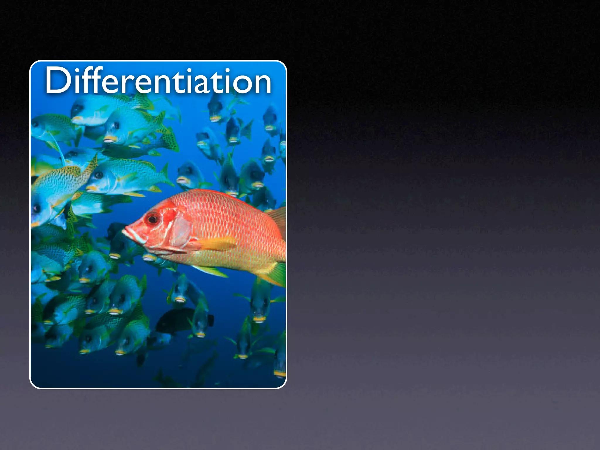 Presentationzen tests audio on Slideshare.net