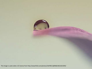 This image is used under a CC license from http://www.flickr.com/photos/31878512@N06/4631021093/
 