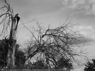 This image is used under a CC license from http://www.flickr.com/photos/eyermonkey/745527539/sizes/z/in/photostream/
 