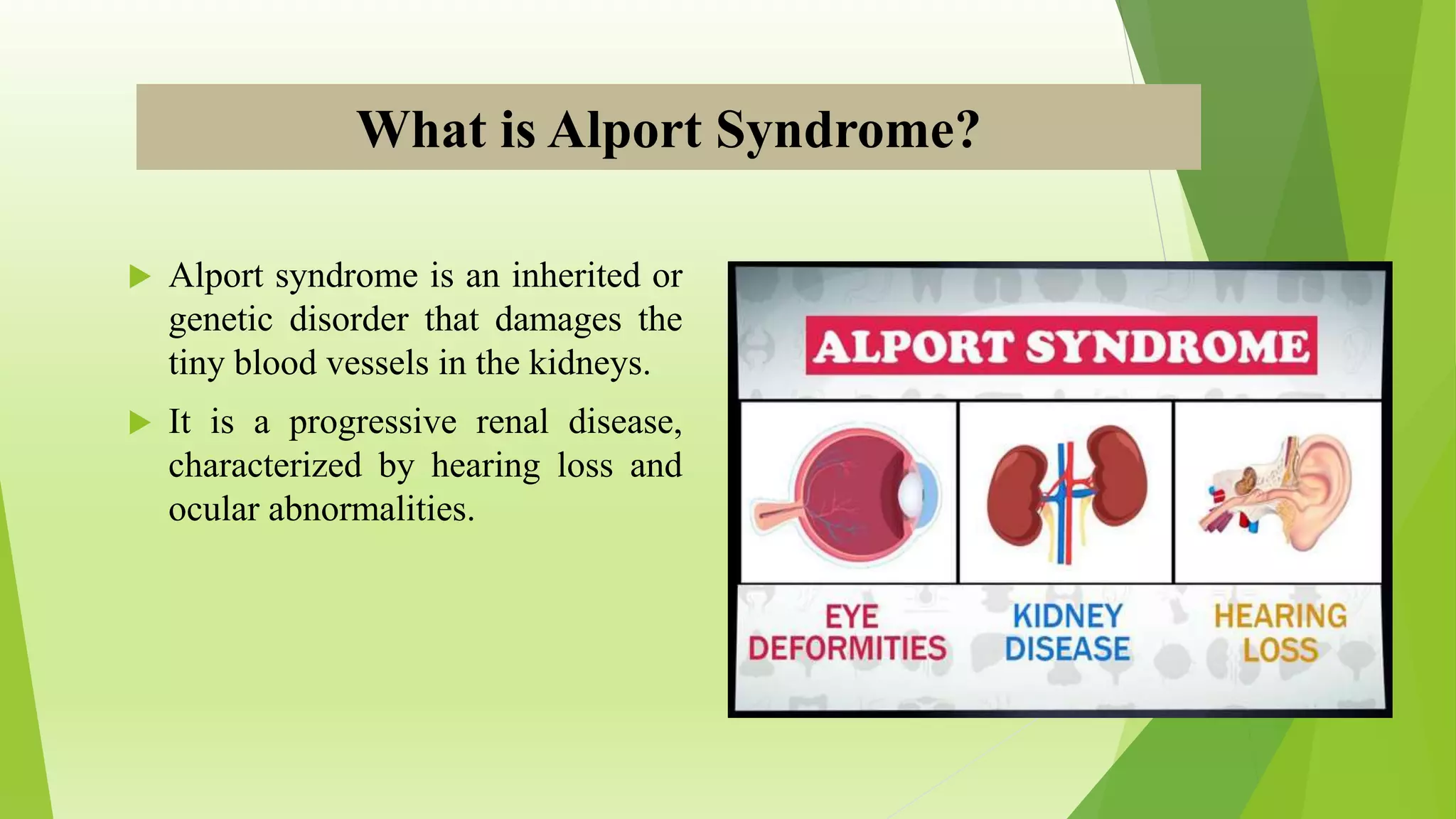 alpoort syndrome.pptx