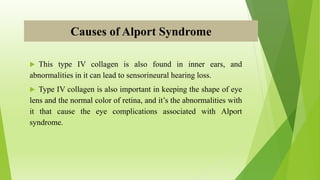 Causes of Alport Syndrome
 This type IV collagen is also found in inner ears, and
abnormalities in it can lead to sensorineural hearing loss.
 Type IV collagen is also important in keeping the shape of eye
lens and the normal color of retina, and it’s the abnormalities with
it that cause the eye complications associated with Alport
syndrome.
 