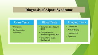 Diagnosis of Alport Syndrome
 