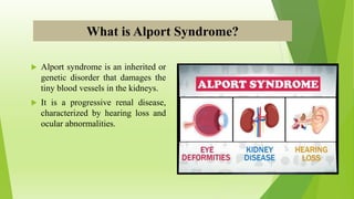 What is Alport Syndrome?
 Alport syndrome is an inherited or
genetic disorder that damages the
tiny blood vessels in the kidneys.
 It is a progressive renal disease,
characterized by hearing loss and
ocular abnormalities.
 