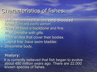Characteristics of fishes:Characteristics of fishes:
• Unlike mammals, fish areUnlike mammals, fish are cold-bloodedcold-blooded. .. .
ExceptExcept TunaTuna andand pacific salmonpacific salmon..
• True fish have a backbone and fins.True fish have a backbone and fins.
• Most breathe with gills.Most breathe with gills.
• Have scales that cover their bodies.Have scales that cover their bodies.
• Lateral line ,have swim bladder.Lateral line ,have swim bladder.
• Streamline body.Streamline body.
History:History:
It is currently believed that fish began to evolveIt is currently believed that fish began to evolve
about 480 million years ago. There are 22,000about 480 million years ago. There are 22,000
known species of fishes.known species of fishes.
 