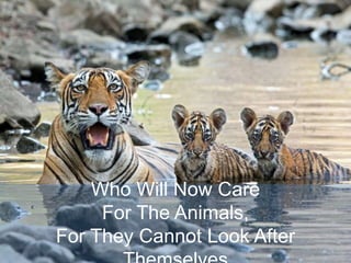 Who Will Now Care
For The Animals,
For They Cannot Look After
 