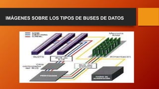 IMÁGENES SOBRE LOS TIPOS DE BUSES DE DATOS
 
