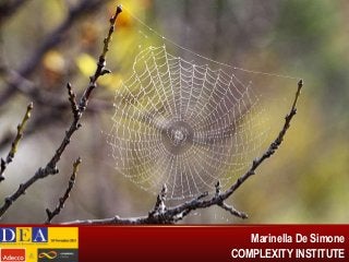 COSA VEDIAMO?
Un contrasto evidente tra struttura formale
ed informale dell’organizzazione

‘Bottlenecks’ nell’organizzazione:
 Tengono insieme l’organizzazione
 Sono indispensabili per il flusso informativo
 Sono sovraccarichi di informazioni/lavoro

Marinella De Simone
COMPLEXITY INSTITUTE

 