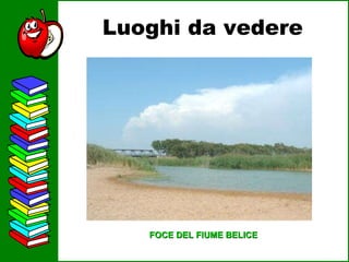 Luoghi da vedere FOCE DEL FIUME BELICE 