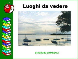 Luoghi da vedere STAGNONE DI MARSALA 