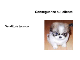 Conseguenze sul cliente



Venditore tecnico
 