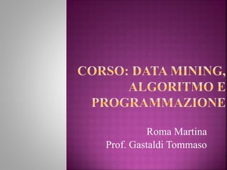 Roma Martina
Prof. Gastaldi Tommaso
 