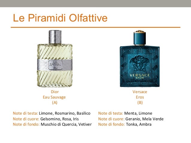 sauvage dior piramide olfattiva
