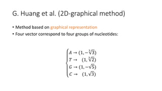 G. Huang et al. (2D-graphical method)
• Method based on graphical representation
• Four vector correspond to four groups of nucleotides:
𝐴 → (1, −
3
3)
𝑇 → (1,
3
2)
𝐺 → (1, − 5)
𝐶 → (1, 3)
 