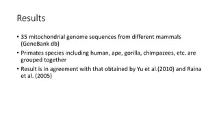 Results
• 35 mitochondrial genome sequences from different mammals
(GeneBank db)
• Primates species including human, ape, gorilla, chimpazees, etc. are
grouped together
• Result is in agreement with that obtained by Yu et al.(2010) and Raina
et al. (2005)
 