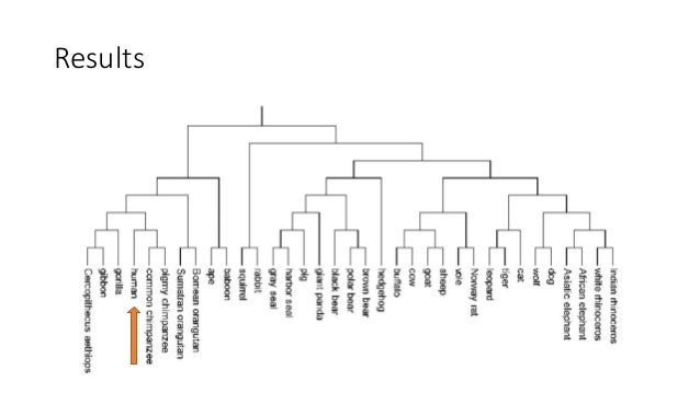 biological sequence analysis biological sequence analysis