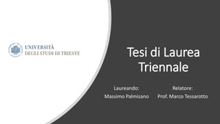 Tesi di Laurea
Triennale
Laureando:
Massimo Palmisano
Relatore:
Prof. Marco Tessarotto
 