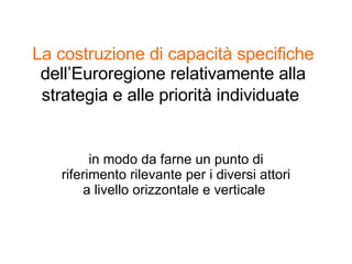 La costruzione di capacità specifiche  dell’Euroregione relativamente alla strategia e alle priorità individuate   in modo da farne un punto di riferimento rilevante per i diversi attori a livello orizzontale e verticale  
