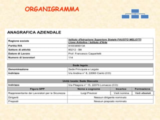 ORGANIGRAMMA
 
