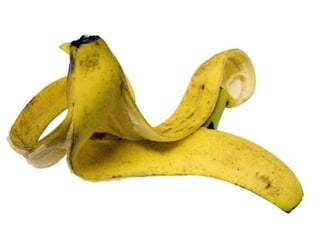 Presentazione Torino 23 04 2008