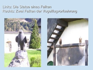 Links: Die Statue eines Falken Rechts: Zwei Falken der Vogelflugvorfuehrung	