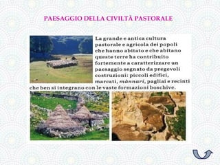 PAESAGGIO DELLA CIVILTÀ PASTORALE
 
