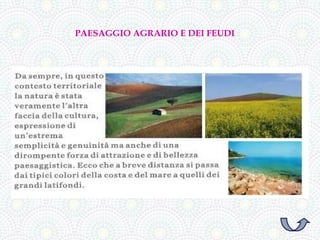PAESAGGIO AGRARIO E DEI FEUDI
 