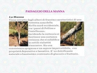 PAESAGGIO DELLA MANNA
 