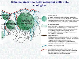 Schema sintetico delle relazioni della rete
               ecologica
 