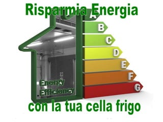 Risparmia Energia  con la tua cella frigo 