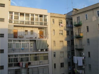 Windows in the urban jungle