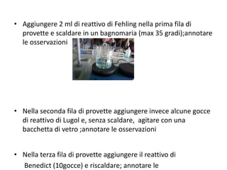 • Aggiungere 2 ml di reattivo di Fehling nella prima fila di
provette e scaldare in un bagnomaria (max 35 gradi);annotare
le osservazioni

• Nella seconda fila di provette aggiungere invece alcune gocce
di reattivo di Lugol e, senza scaldare, agitare con una
bacchetta di vetro ;annotare le osservazioni
• Nella terza fila di provette aggiungere il reattivo di
Benedict (10gocce) e riscaldare; annotare le

 